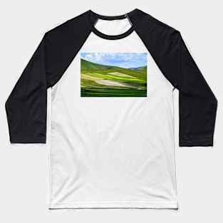 Fields Baseball T-Shirt